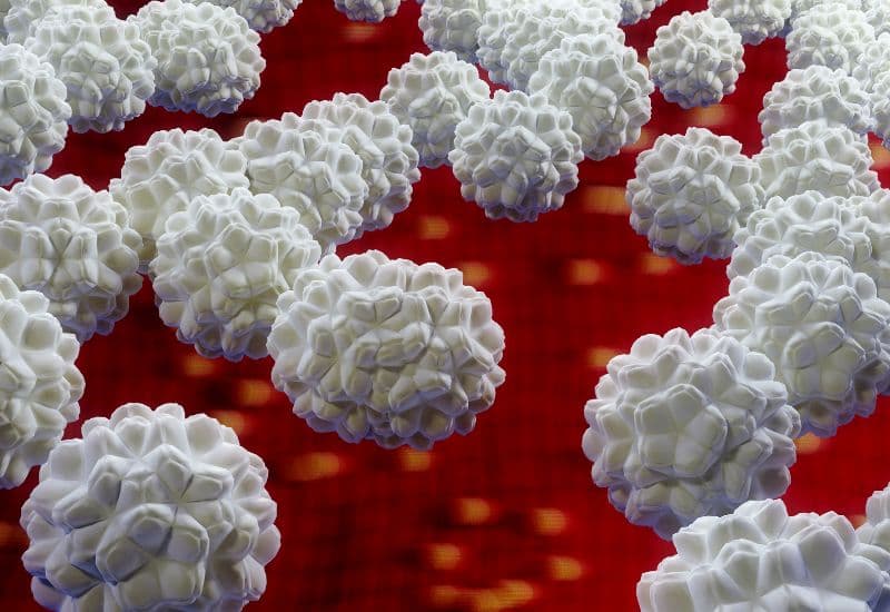 Đau mắt đỏ do chlamydia trachomatis gây ra có thể lây qua đường tình dục.