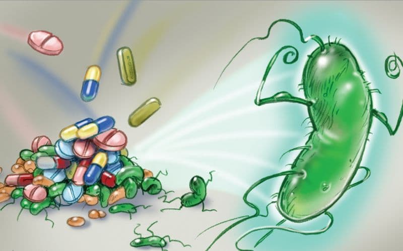 Lạm dụng kháng sinh có thể gây ra tình trạng kháng lại thuốc