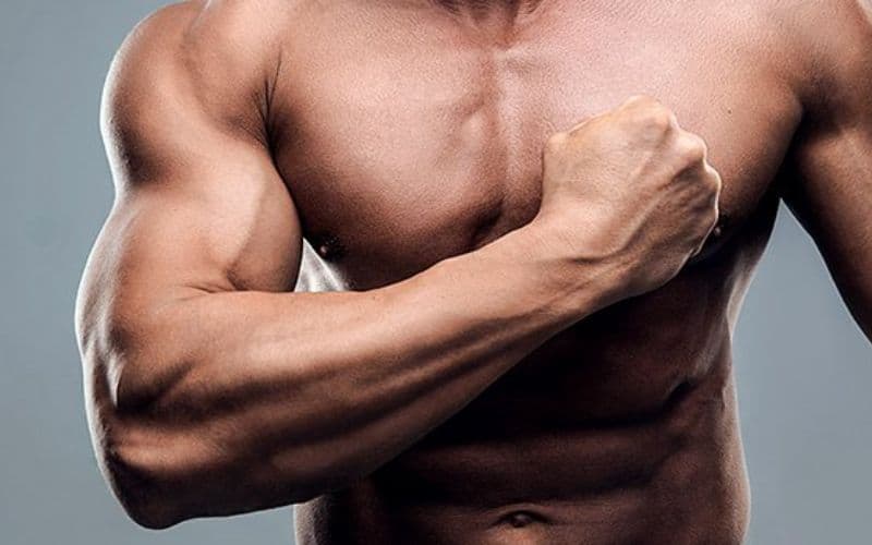 Steroid là gì -Steroid đồng hóa có thể giúp tăng sức mạnh cơ bắp