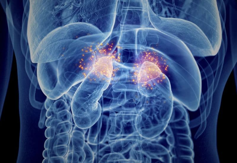 Lưu ý về sử dụng Prednisone đúng cách để đạt hiệu quả 