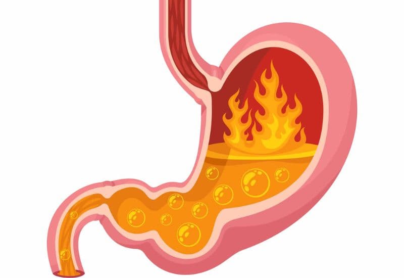 Công dụng của thuốc Phosphalugel