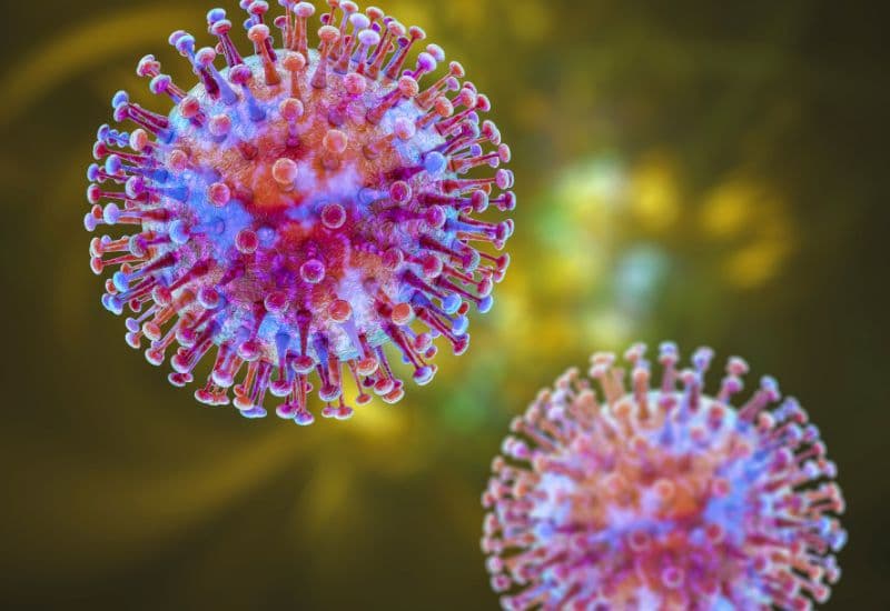 Enterovirus 71 (EV71) ít gặp hơn Coxsackievirus A16 nhưng tay chân miệng phát sinh do Enterovirus 71 (EV71) lại gây những biến chứng nặng nề hơn. 