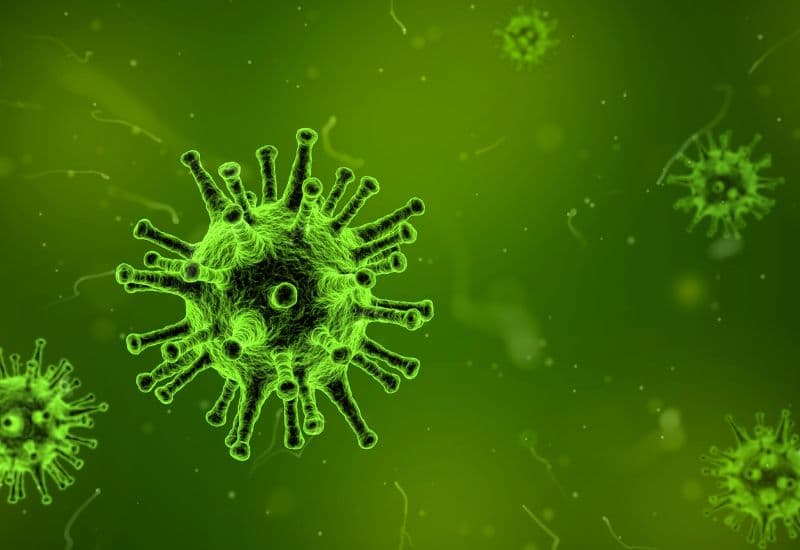 Nguyên nhân phổ biến nhất gây nhiệt miệng là virus. 