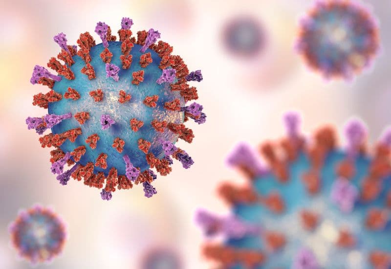 Các virus gây viêm phổi phổ biến nhất có thể kể đến ở đây là respiratory syncytial virus, Influenza virus, paramyxovirus, adenovirus….