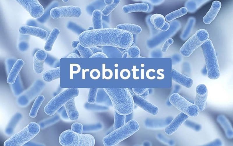 Livespo Clausy là một sản phẩm bổ sung probiotic tiên tiến