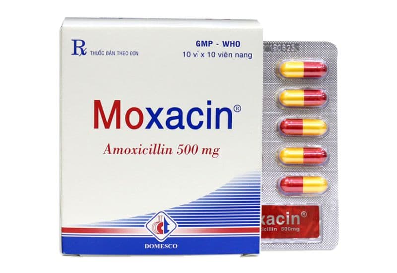 Tìm hiểu về thuốc Moxacin