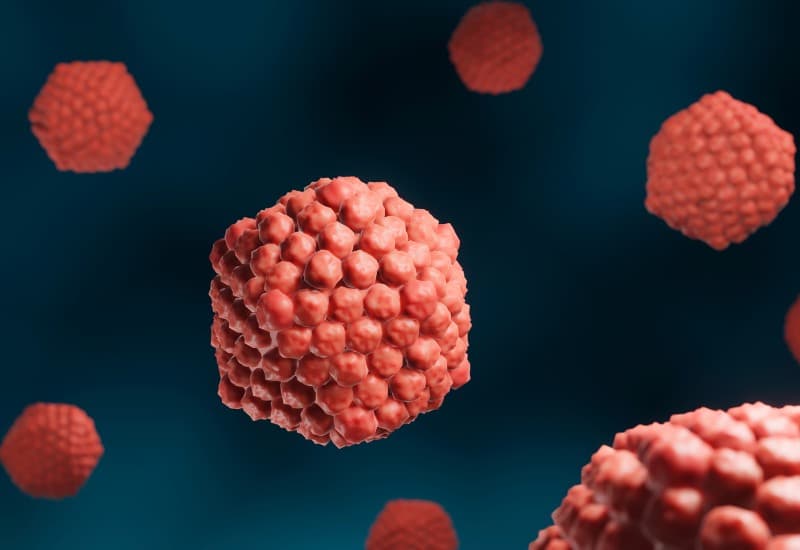 Bệnh herpes là gì? Herpes là một loại nhiễm trùng phát sinh do virus herpes simplex (HSV).