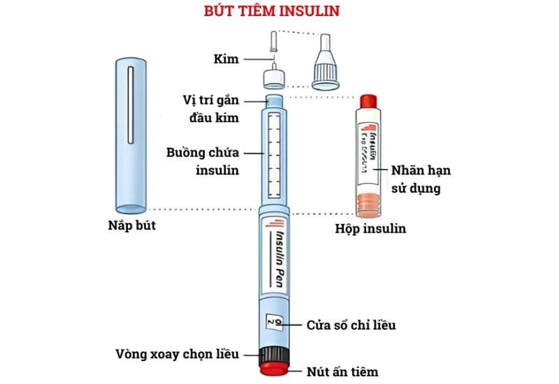 bút tiêm insulin