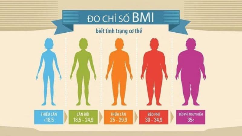 Chỉ số BMI được tính như thế nào trên ứng dụng BMI Calculator?