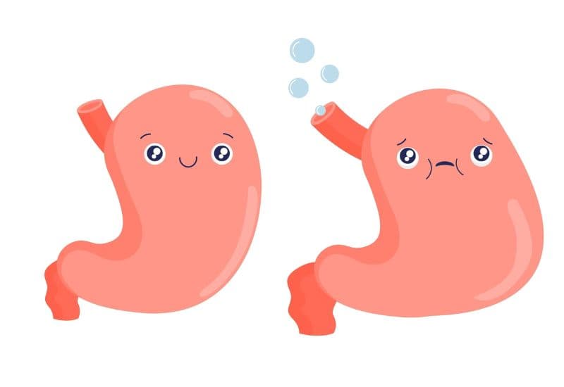 Đầy hơi, chướng bụng: Nguyên nhân và triệu chứng