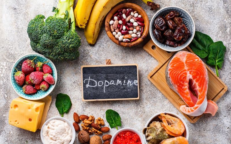 hormone dopamine còn là một chất dẫn truyền thần kinh quyền lực, ảnh hưởng đến mọi khía cạnh đời sống con người.