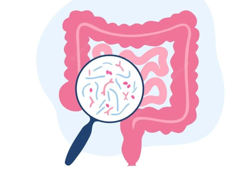 Thuốc Normagut hỗ trợ cân bằng hệ vi sinh đường ruột