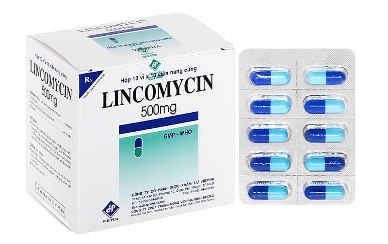 Lincomycin được chỉ định trong trường hợp nào?