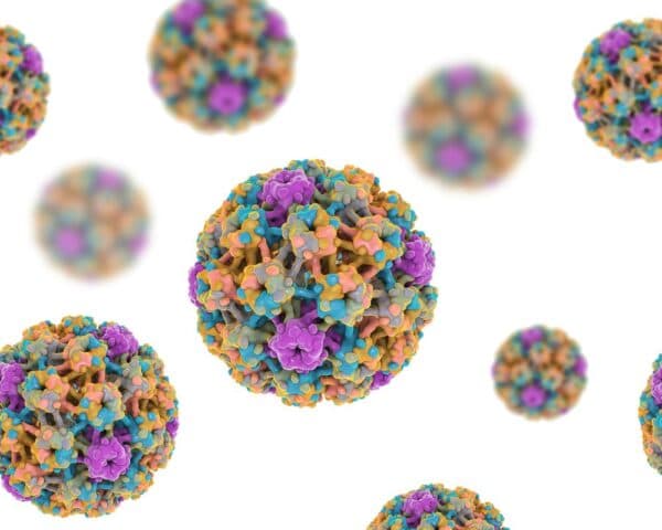 Hình ảnh mô phỏng của virus HPV.