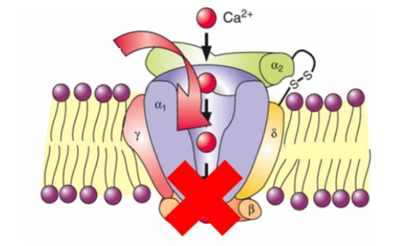 Diphenhydramine cơ chế