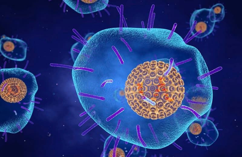 Mô phỏng hình ảnh virus VZV gây bệnh thủy đậu