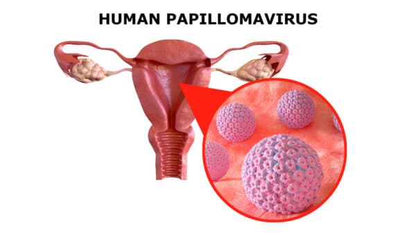 Có thể bạn không biết, HPV khá phổ biến và tồn tại trong cơ thể của rất nhiều người.