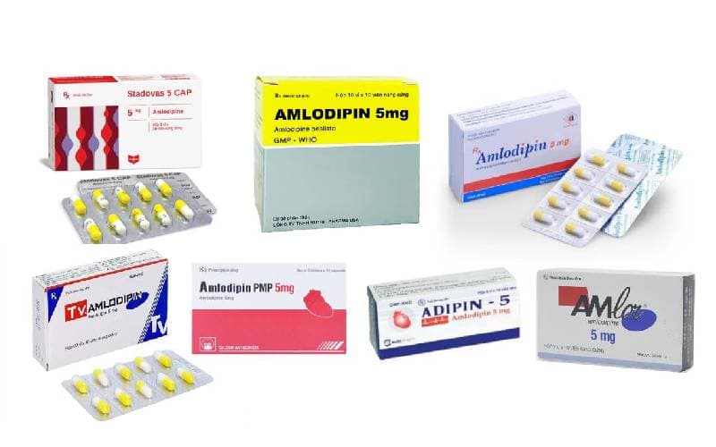 Amlodipin 5mg chữa bệnh gì