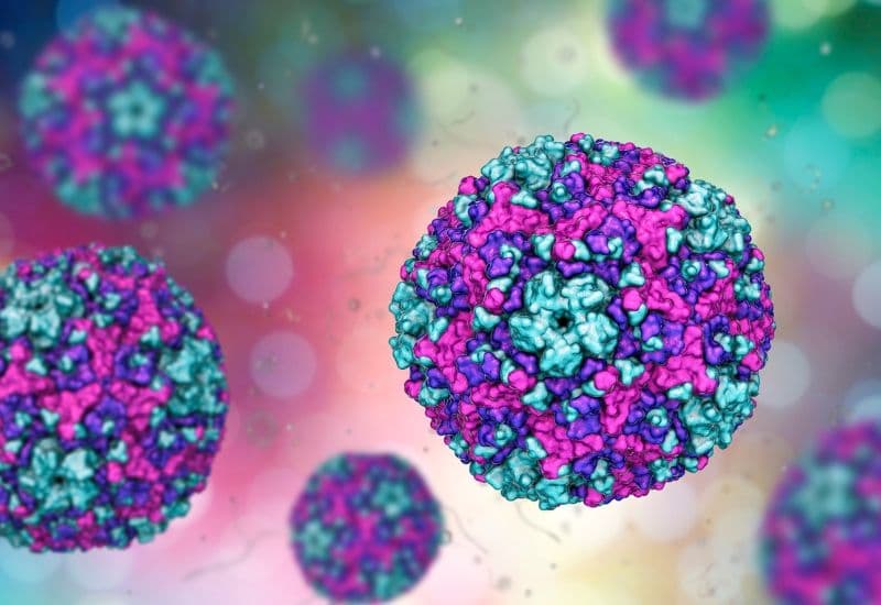 Tay chân miệng ở trẻ em chủ yếu do virus đường ruột gây ra, phổ biến nhất là virus Coxsackie A16 và Enterovirus 71 (EV71).