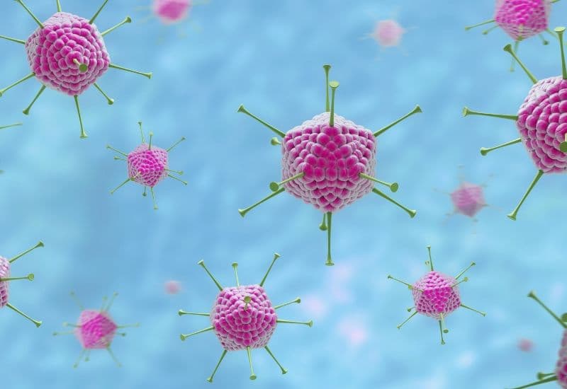 Đau mắt đỏ là một dạng viêm kết mạc - viêm kết mạc do virus.