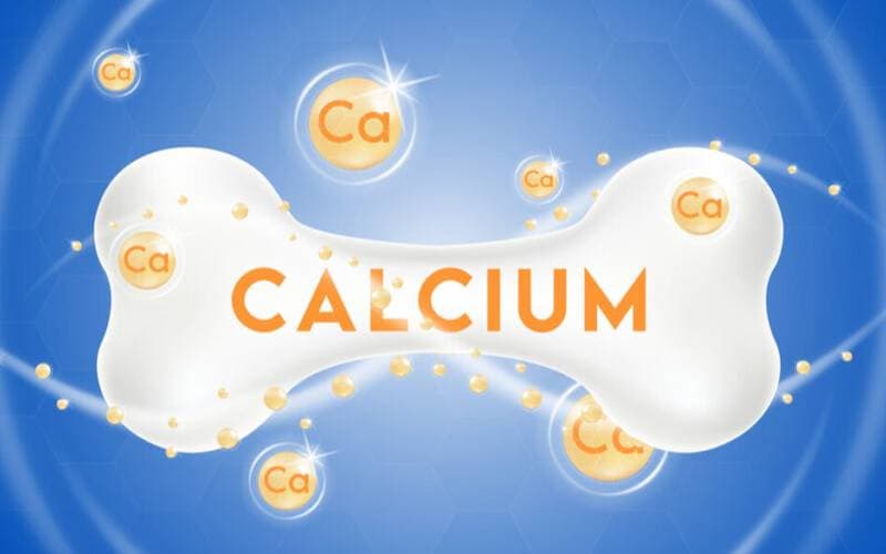 Calcium Magnesium Zinc ở đâu