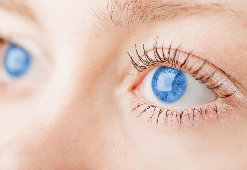 Cơ mí mắt, một phần của hệ thống cơ xung quanh mắt, đóng vai trò quan trọng trong bảo vệ mắt và duy trì chức năng thị giác. 