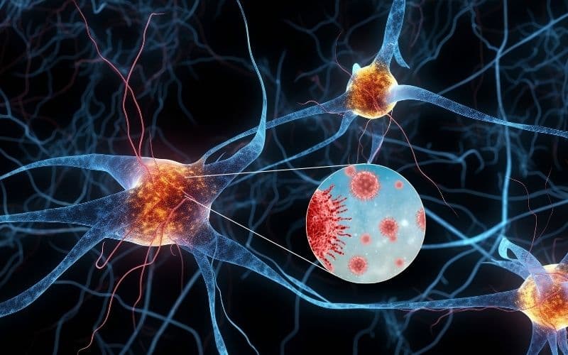 Virus VZV có khả năng tấn công lên hệ thần kinh