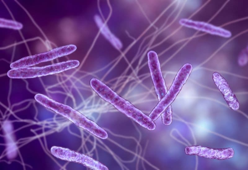 Lao là bệnh truyền nhiễm do vi khuẩn Mycobacterium tuberculosis gây ra. 
