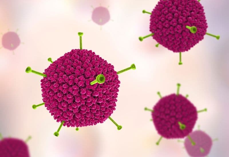 Nguyên nhân bị đau mắt đỏ có thể là Adenovirus.