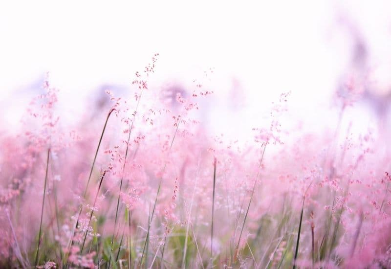 Dị ứng xảy ra khi cơ thể phản ứng với các dị nguyên như phấn hoa, lông động vật, mỹ phẩm hoặc các chất bảo quản trong thuốc nhỏ mắt. 