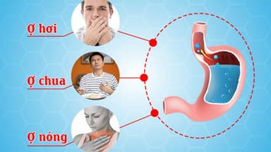 Ứng dụng đo pH thực quản 24 giờ trong chẩn đoán trào ngược axit