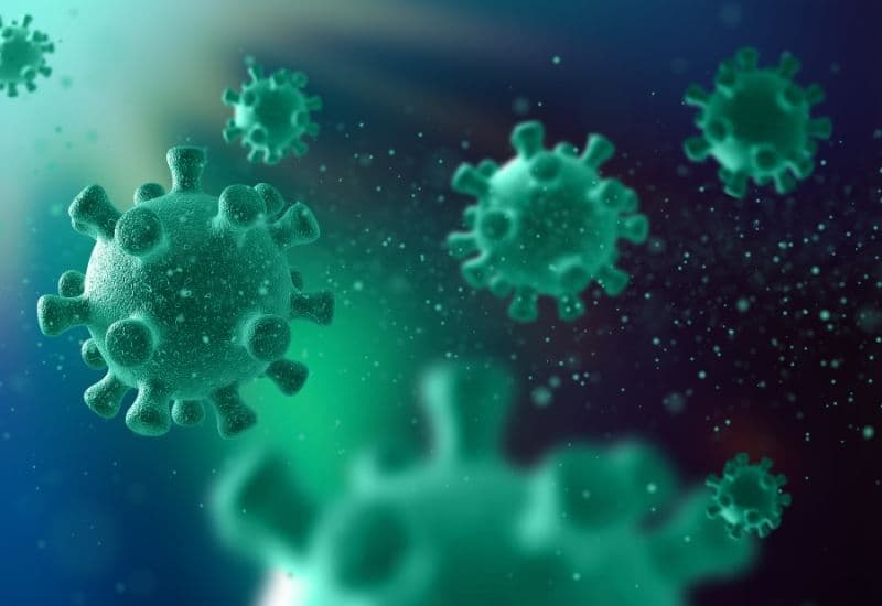 Đau mắt đỏ phát sinh do virus, thường thuộc nhóm adenovirus, enterovirus hoặc herpes simplex virus.