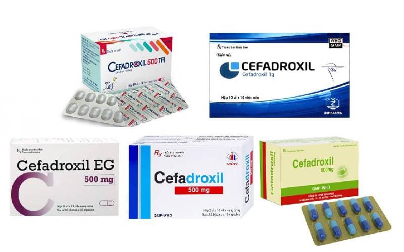 Các loại Cefadroxil