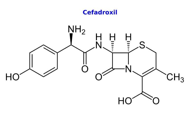 Cefadroxil chữa bệnh gì