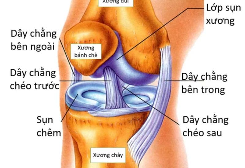 chấn thương phần mềm đầu gối 
