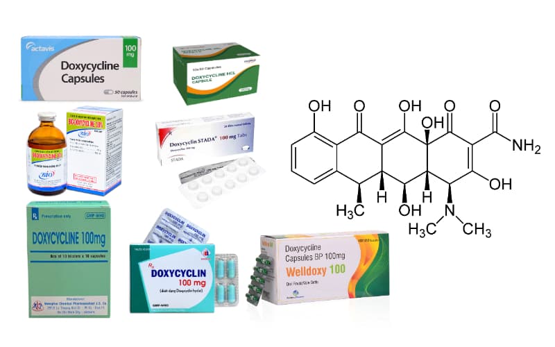 doxycycline là thuốc gì