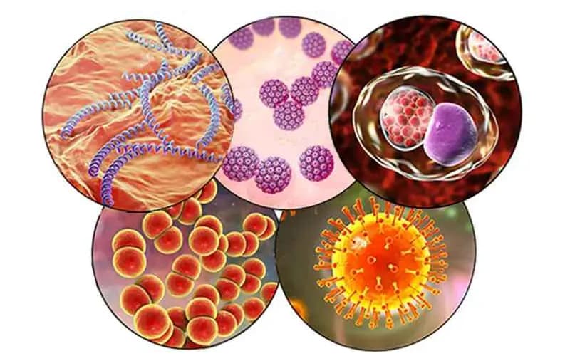 doxycycline tác dụng gì