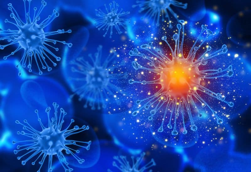 Cơ sở của nguyên lý hoạt động vắc-xin