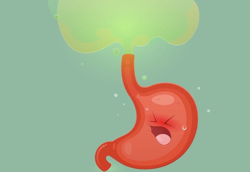 Nguyên nhân ợ hơi nhiều sau uống rượu bia - Quá trình lên men và sinh khí trong dạ dày