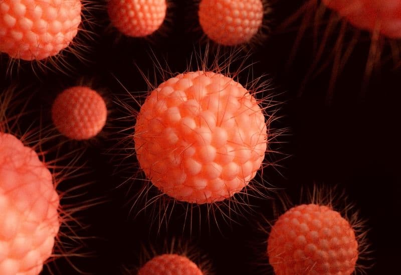 Nguyên nhân gây bệnh truyền nhiễm thủy đậu ở trẻ em