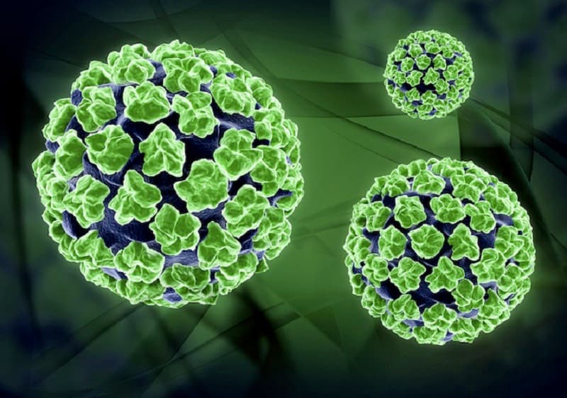 Virus là nguyên nhân gây nên bệnh tay chân miệng cho trẻ nhỏ dưới 5 tuổi.