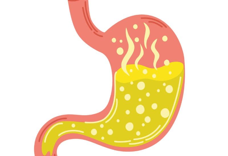 Ăn xong hay bị ợ hơi có thể liên quan đến vấn đề sức khỏe