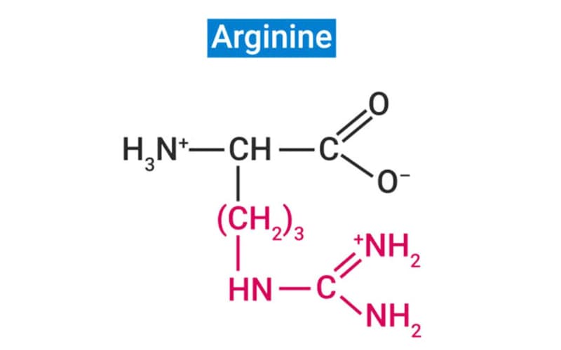 Arginine tốt không