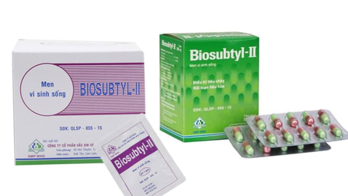 Biosubtyl: Giải pháp hiệu quả cho sức khỏe đường ruột