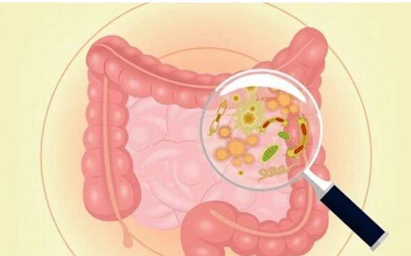 Biosubtyl chữa bệnh gì