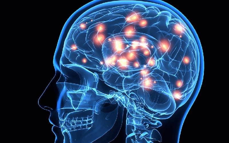 Citicolin và não bộ