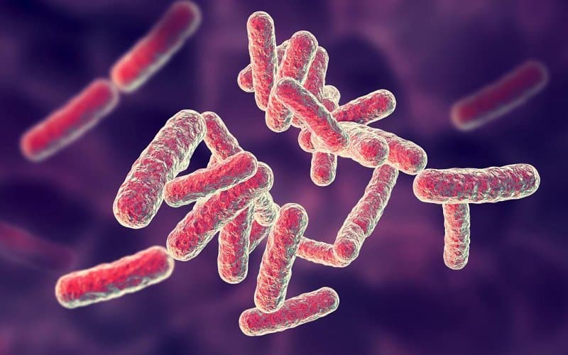 liều dùng Clorocid