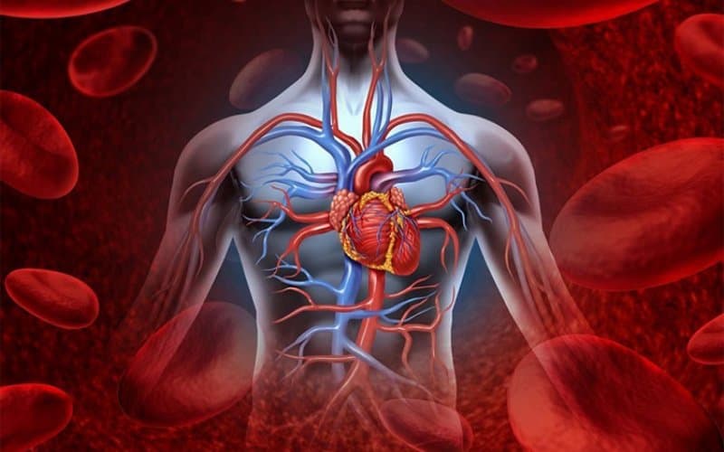 Aspirin 81 và bệnh tim mạch