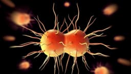 Tìm hiểu các bệnh lây qua đường tình dục là gì và mức độ nguy hiểm