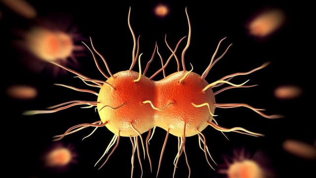 Tìm hiểu các bệnh lây qua đường tình dục là gì và mức độ nguy hiểm